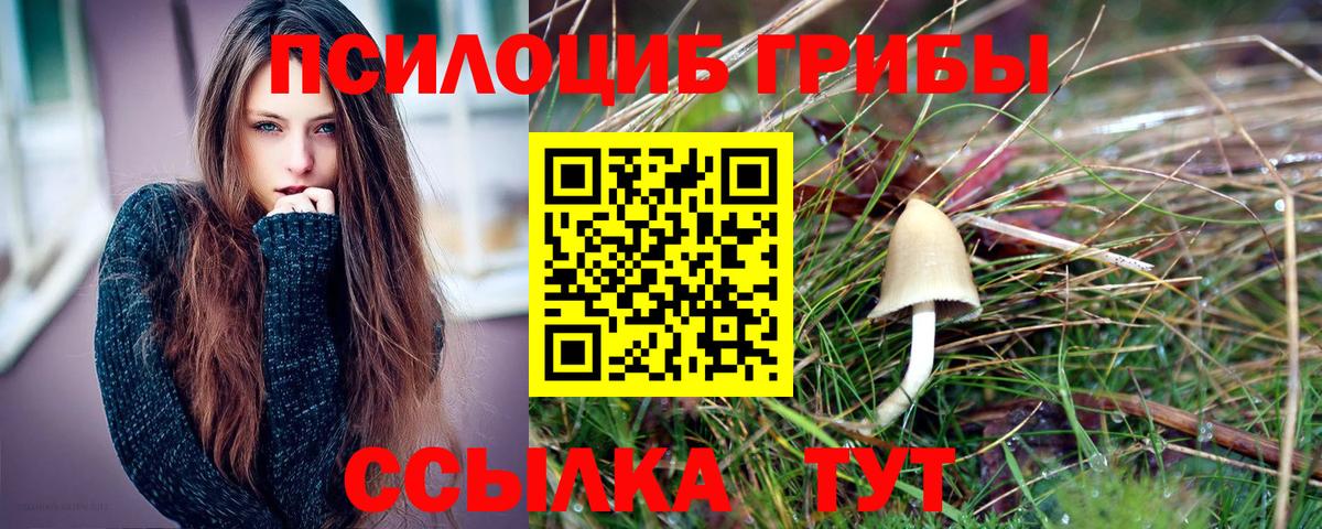 Галлюциногенные грибы Magic Shrooms Советск
